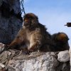 018_gibr-felsen