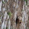 019_gibr-felsen