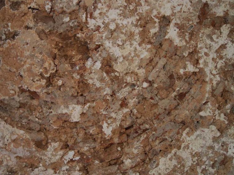 009_gibr-maurenb-botg-berg