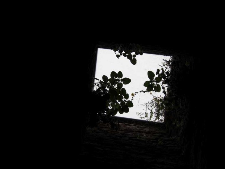 011_gibr-maurenb-botg-berg