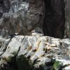 003-lissabon_ozeanarium