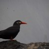 008-lissabon_ozeanarium