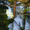 012-lissabon_ozeanarium