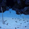 028-lissabon_ozeanarium