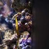 034-lissabon_ozeanarium