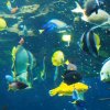 036-lissabon_ozeanarium