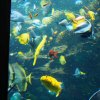 037-lissabon_ozeanarium