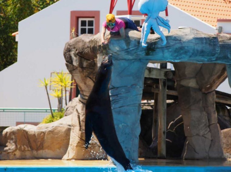 001-lisboa_zoo