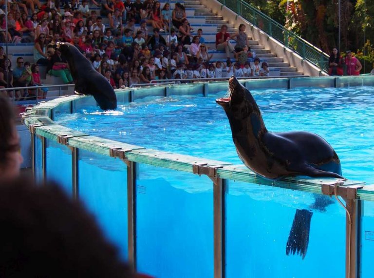 003-lisboa_zoo