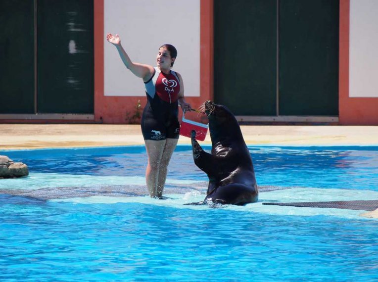 004-lisboa_zoo