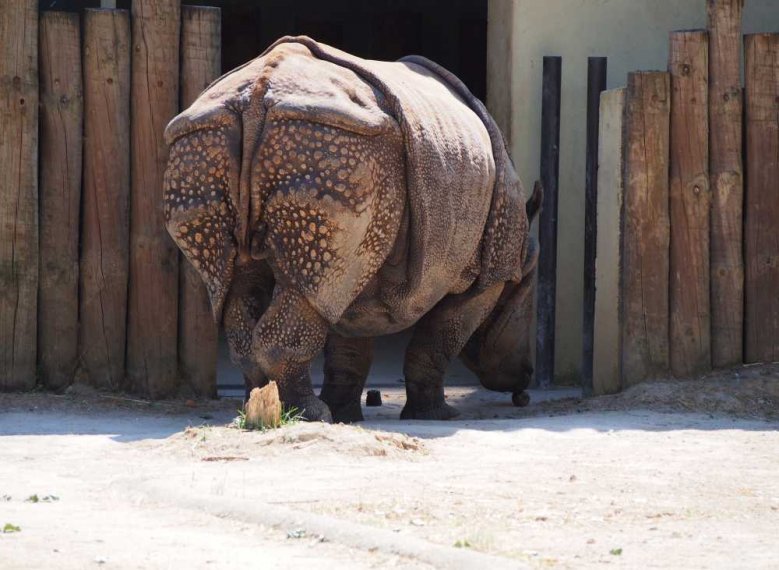 019-lisboa_zoo