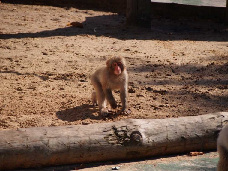 028-lisboa_zoo