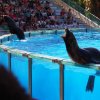 003-lisboa_zoo