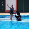 004-lisboa_zoo