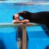 005-lisboa_zoo