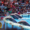 007-lisboa_zoo