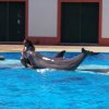 008-lisboa_zoo