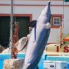 009-lisboa_zoo