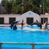 012-lisboa_zoo
