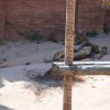 016-lisboa_zoo