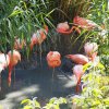017-lisboa_zoo
