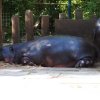 022-lisboa_zoo