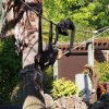025-lisboa_zoo