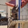 027-lisboa_zoo