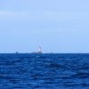 009-portosin-brest
