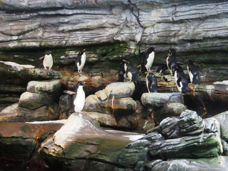 010-oceanopolis_brest