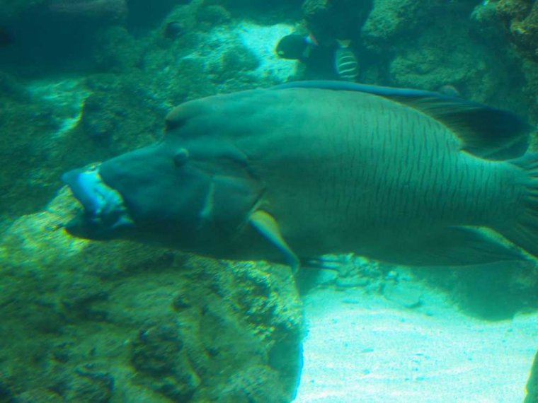 027-oceanopolis_brest