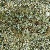 003-oceanopolis_brest