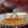 008-oceanopolis_brest