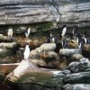 010-oceanopolis_brest