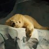 013-oceanopolis_brest