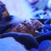 014-oceanopolis_brest