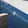 015-oceanopolis_brest