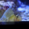 023-oceanopolis_brest