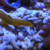 025-oceanopolis_brest