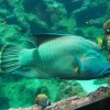 026-oceanopolis_brest