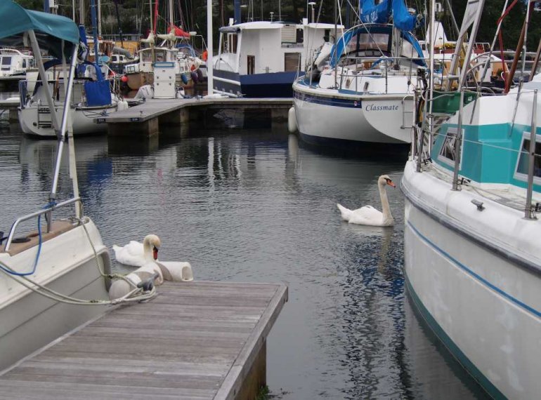 003_falmouth_marinaimpressionen