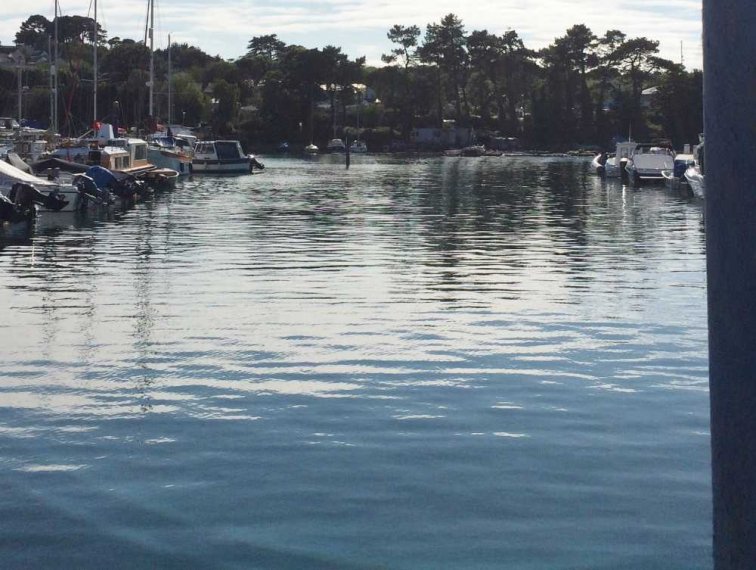 011_falmouth_marinaimpressionen
