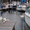 003_falmouth_marinaimpressionen