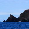 021_milford_haven_bis_peel
