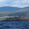 029_milford_haven_bis_peel