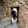 021_peel_castle