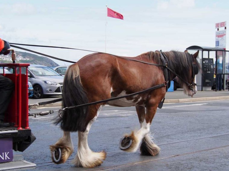 027_isle_of_man_inselrundfahrt