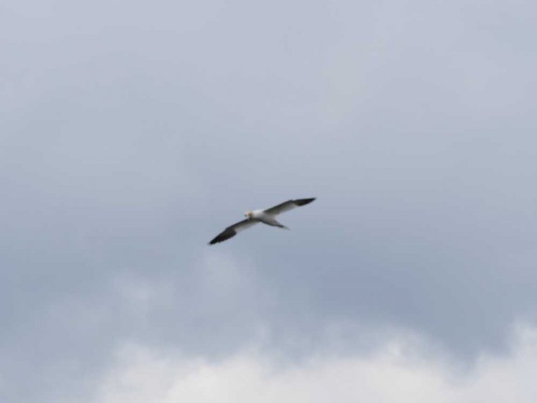 007_isle_of_man_bis_greenock