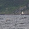 006_isle_of_man_bis_greenock