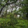 026_cairnbaan